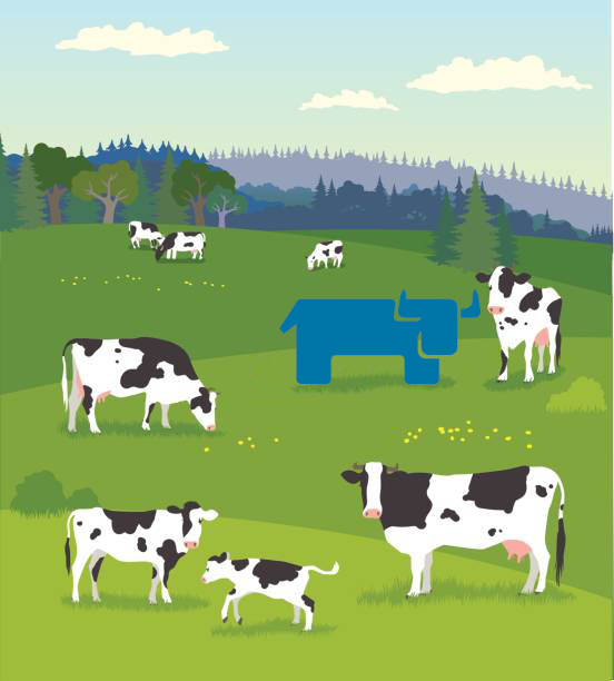 cow-on-pasture